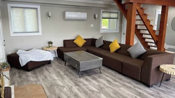 Smart TV, fireplace, books