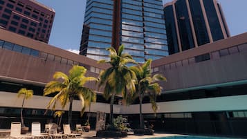 Outdoor pool, pool loungers