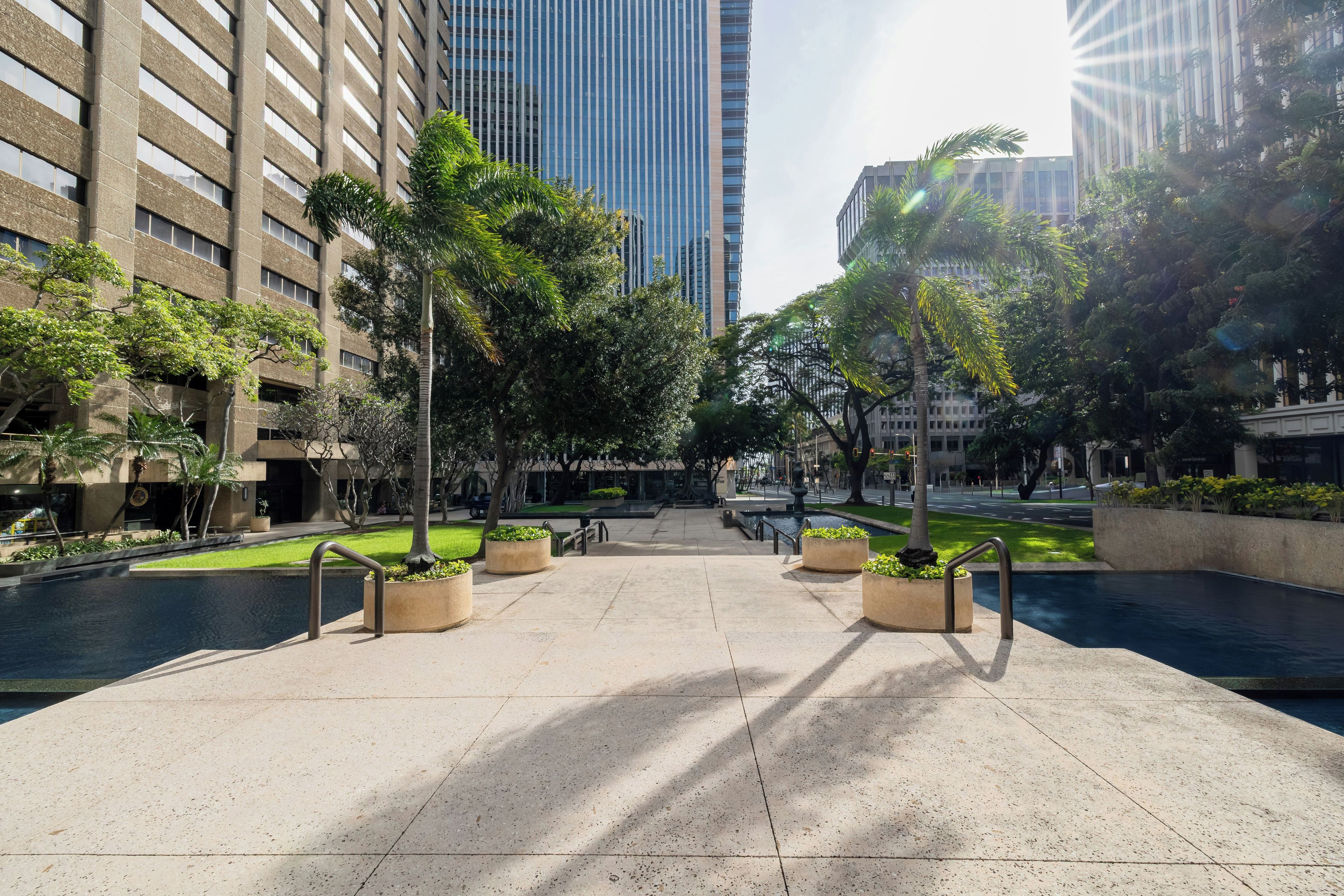 A plaza with a fountain, surrounded by tall buildings and trees.