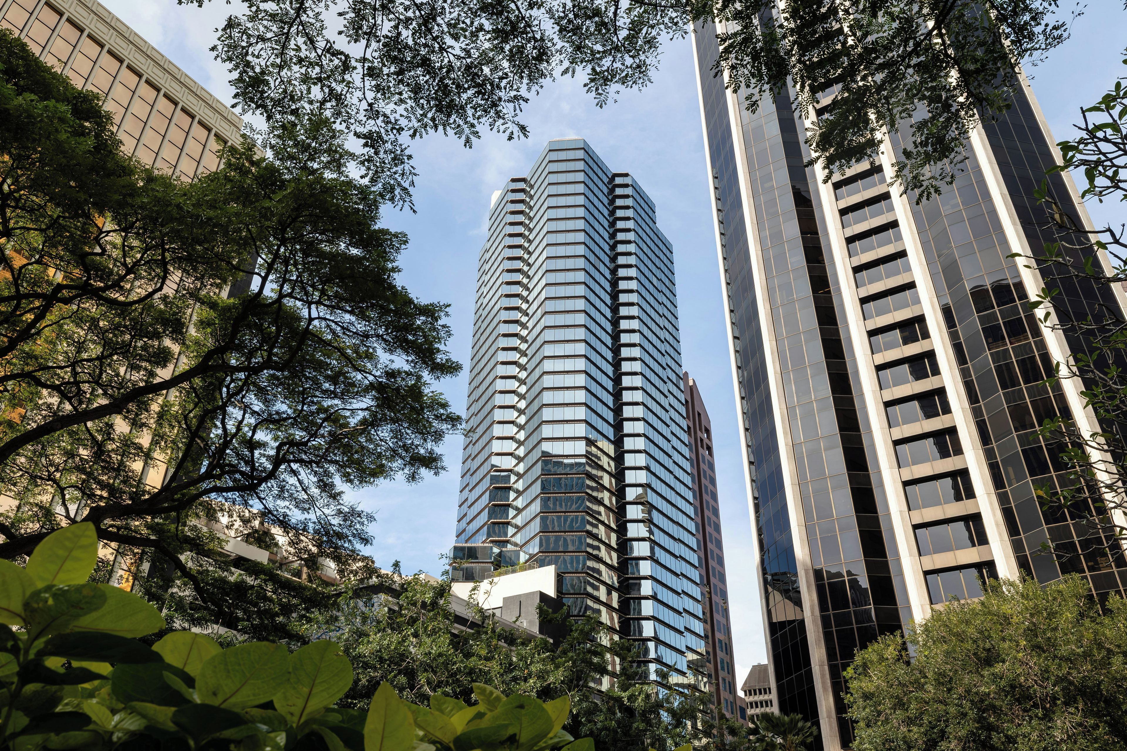 A modern high-rise building with a glass facade, surrounded by lush green trees.