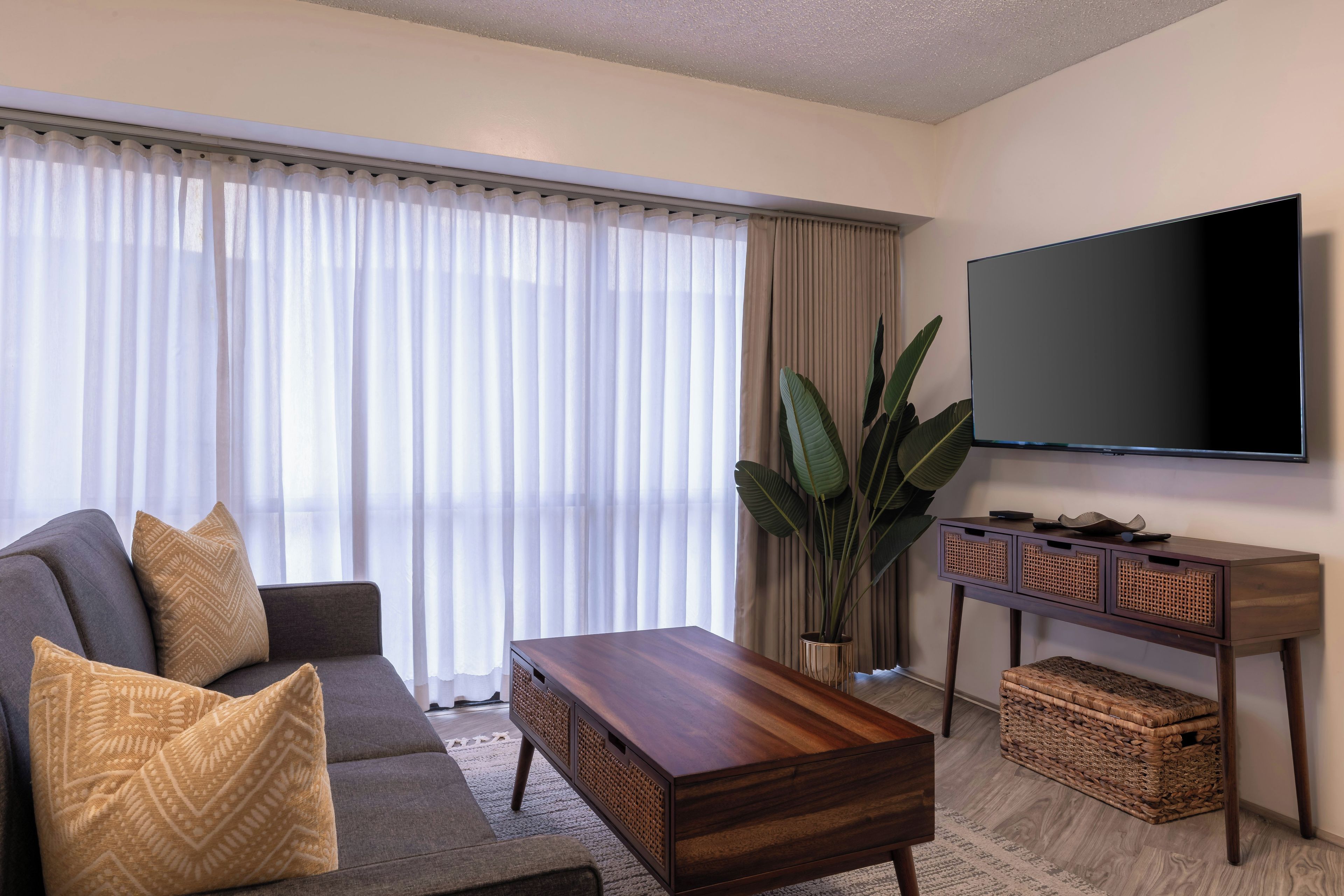 A modern living room with a sofa, coffee table, TV, and a large plant.