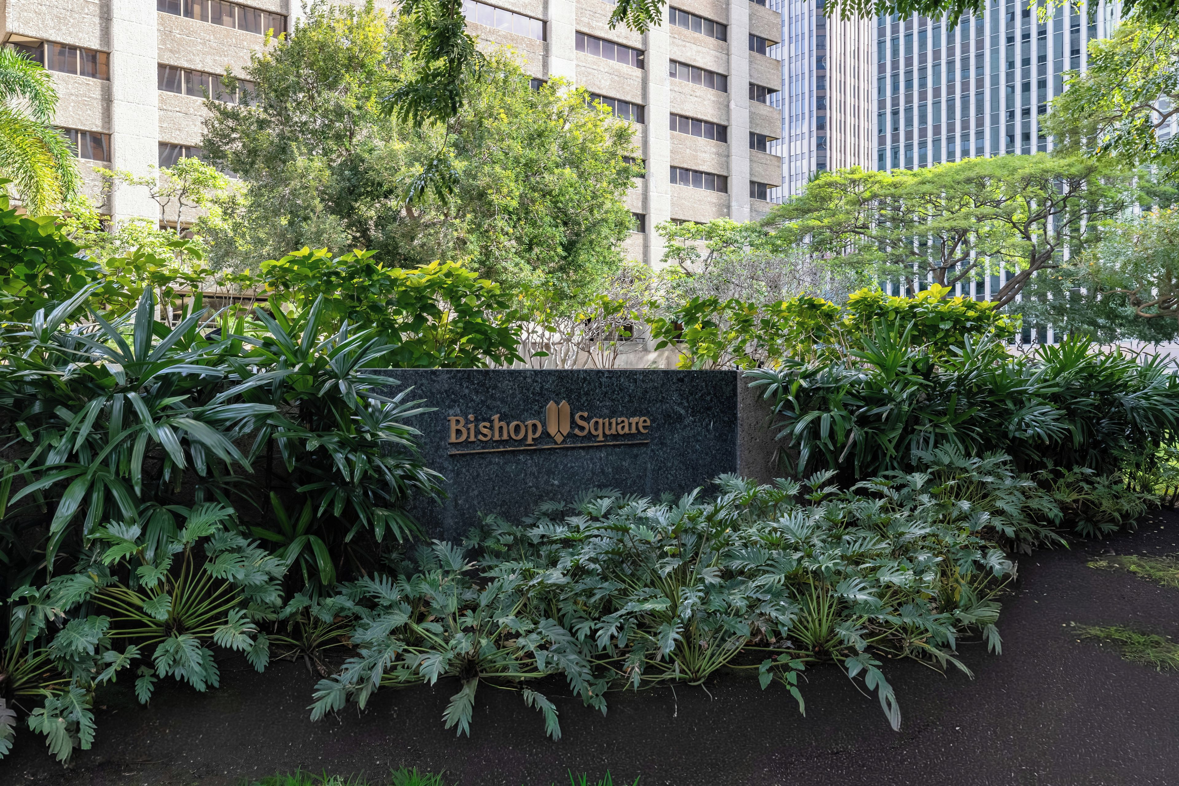 Letrero de Bishop Square rodeado de vegetación.