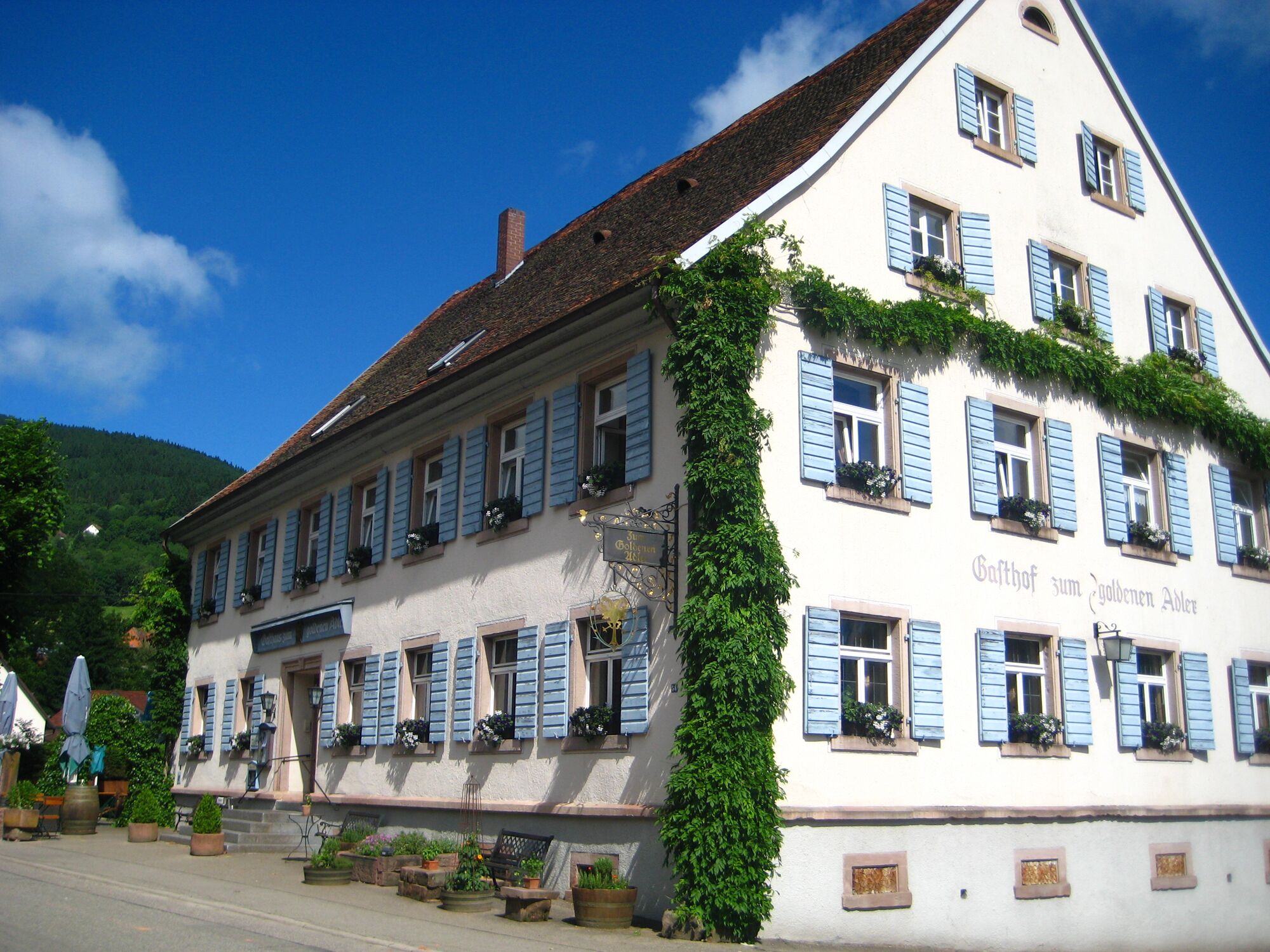 Goldener Adler Oberried - Hotel & Appartements, (Oberried), LHS 00258-Goldener Adler