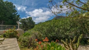 Un jardin où l’on trouve une grande variété de plantes et une allée piétonne en bois.