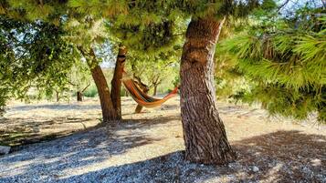 Terrein van de accommodatie