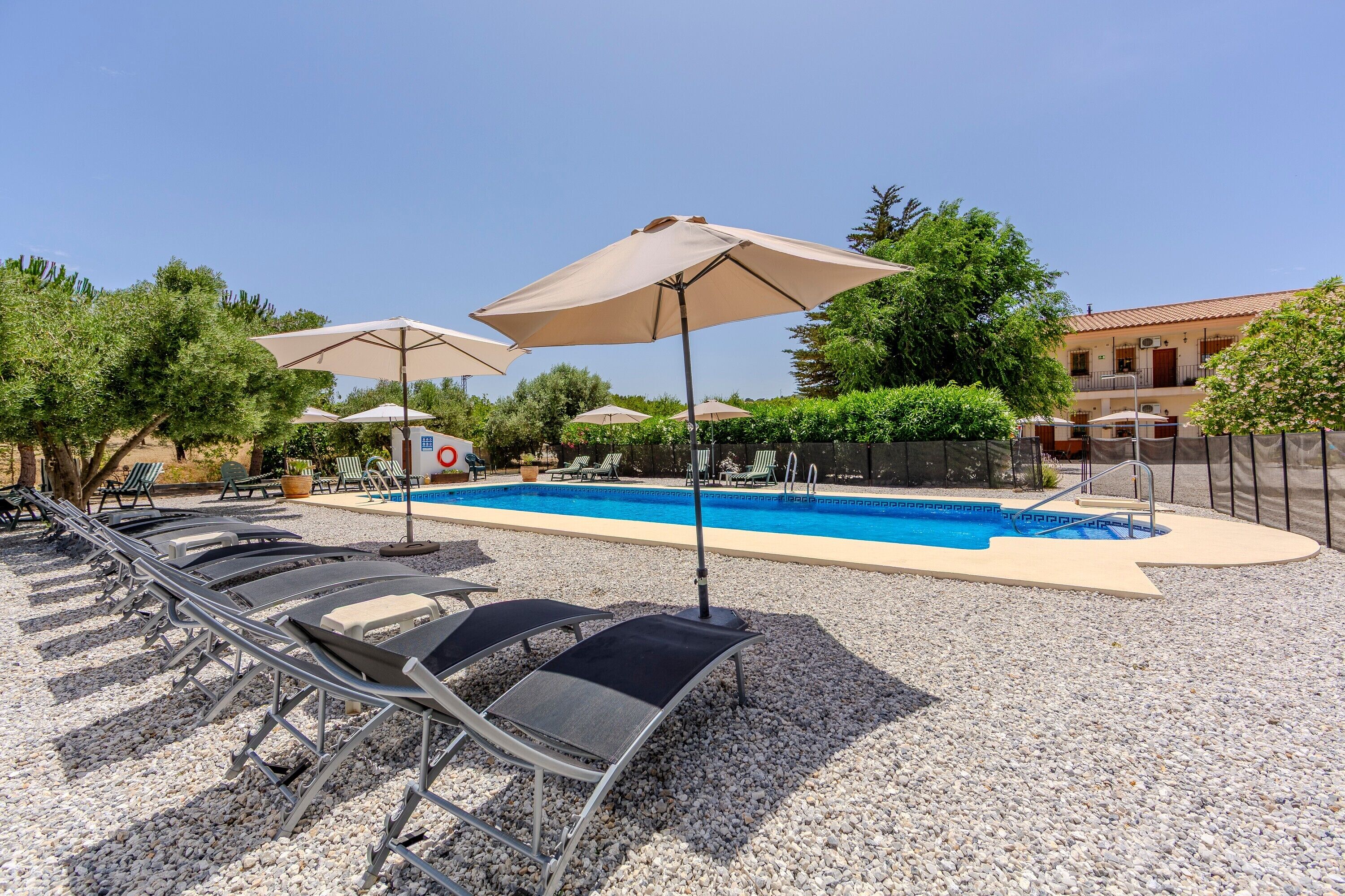 Une piscine entourée de gravier et de verdure, avec des chaises longues et des parasols.