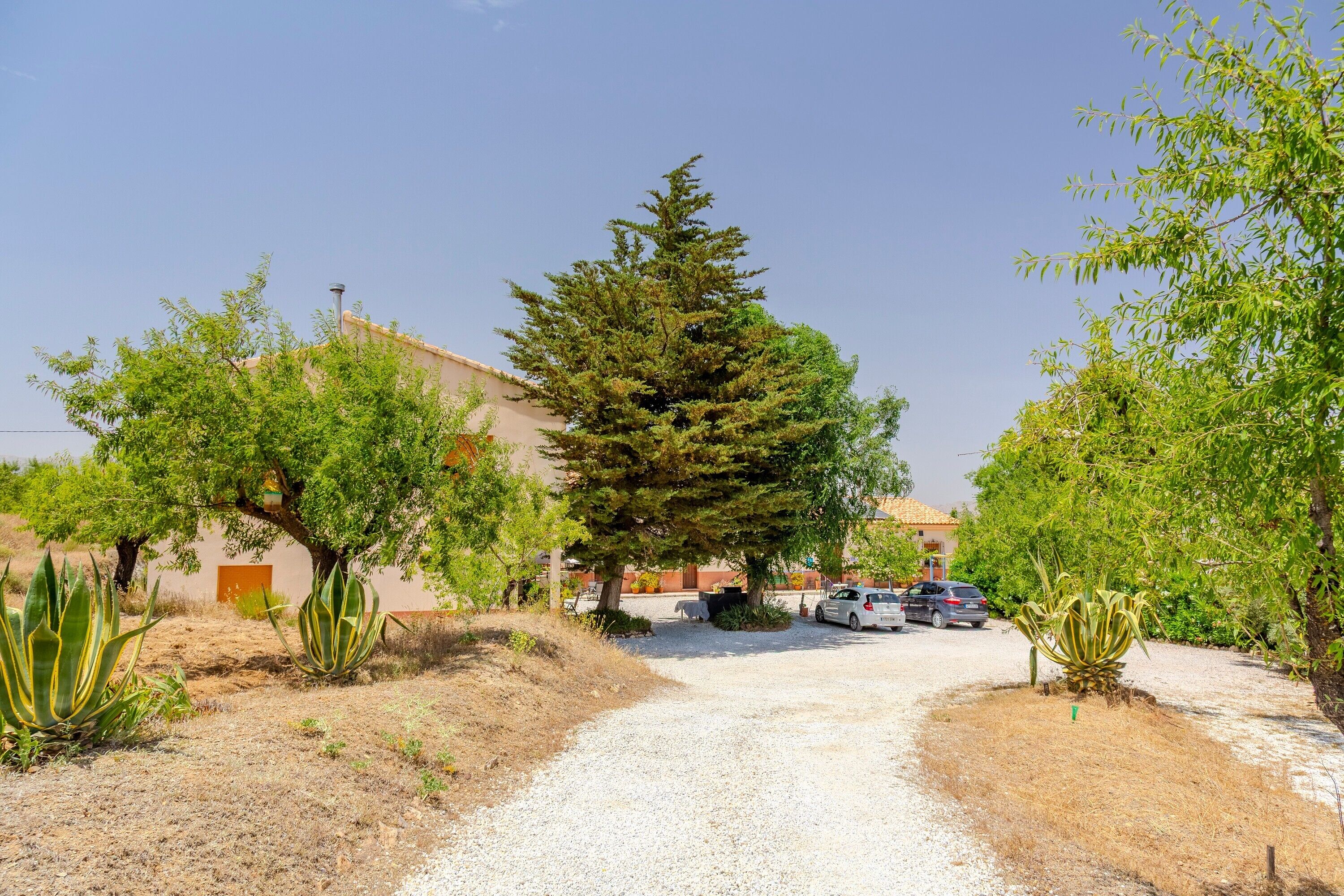 Jardines del alojamiento