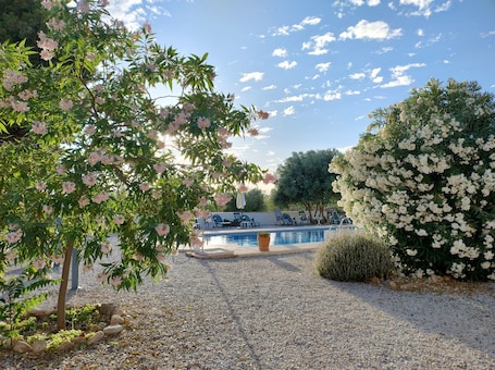A pool area with a gravel path, a tree with pink flowers, and a white flowering bush.. Apartment 'Apartamento Olivo' with Mountain View, Wi-Fi and Air Conditioning