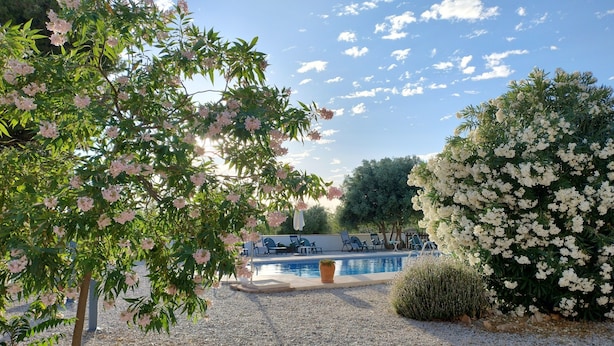 A pool area with a gravel path, a tree with pink flowers, and a white flowering bush.