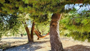 A hammock under a tree in a dry, gravelly area with sparse vegetation.