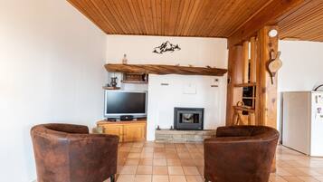 TV, fireplace, ping pong