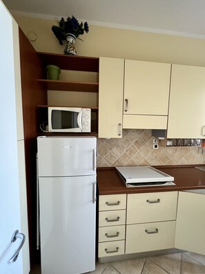 Kühlschrank, Mikrowelle, Herdplatte, Geschirrspüler