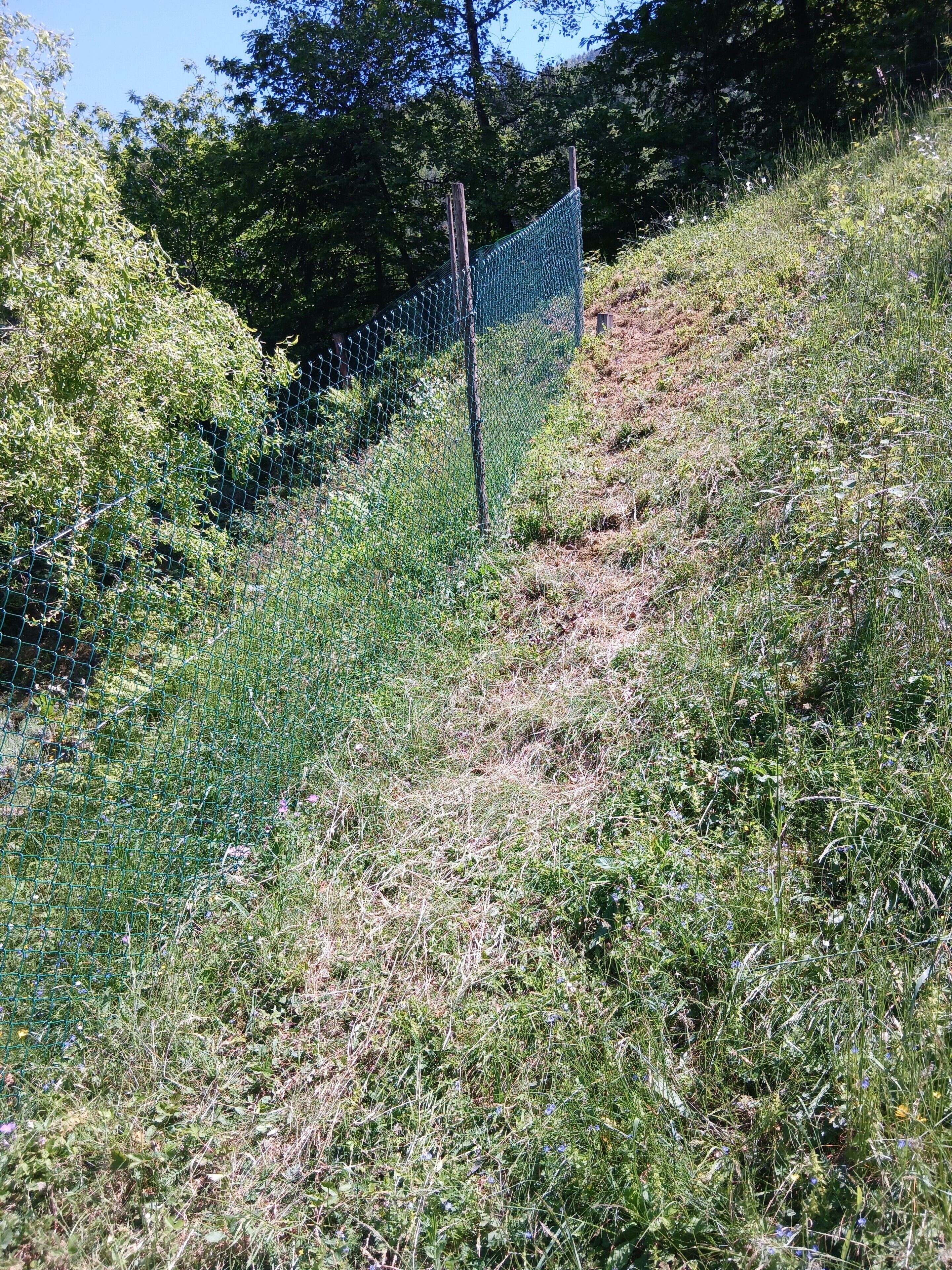 A grassy slope with a chain-link fence.