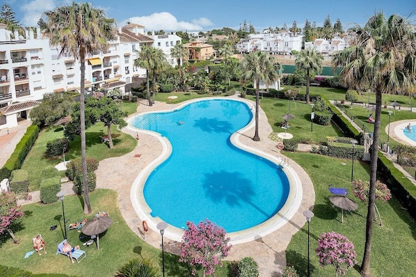 A swimming pool with a curved design, surrounded by well-maintained lawns and palm trees.