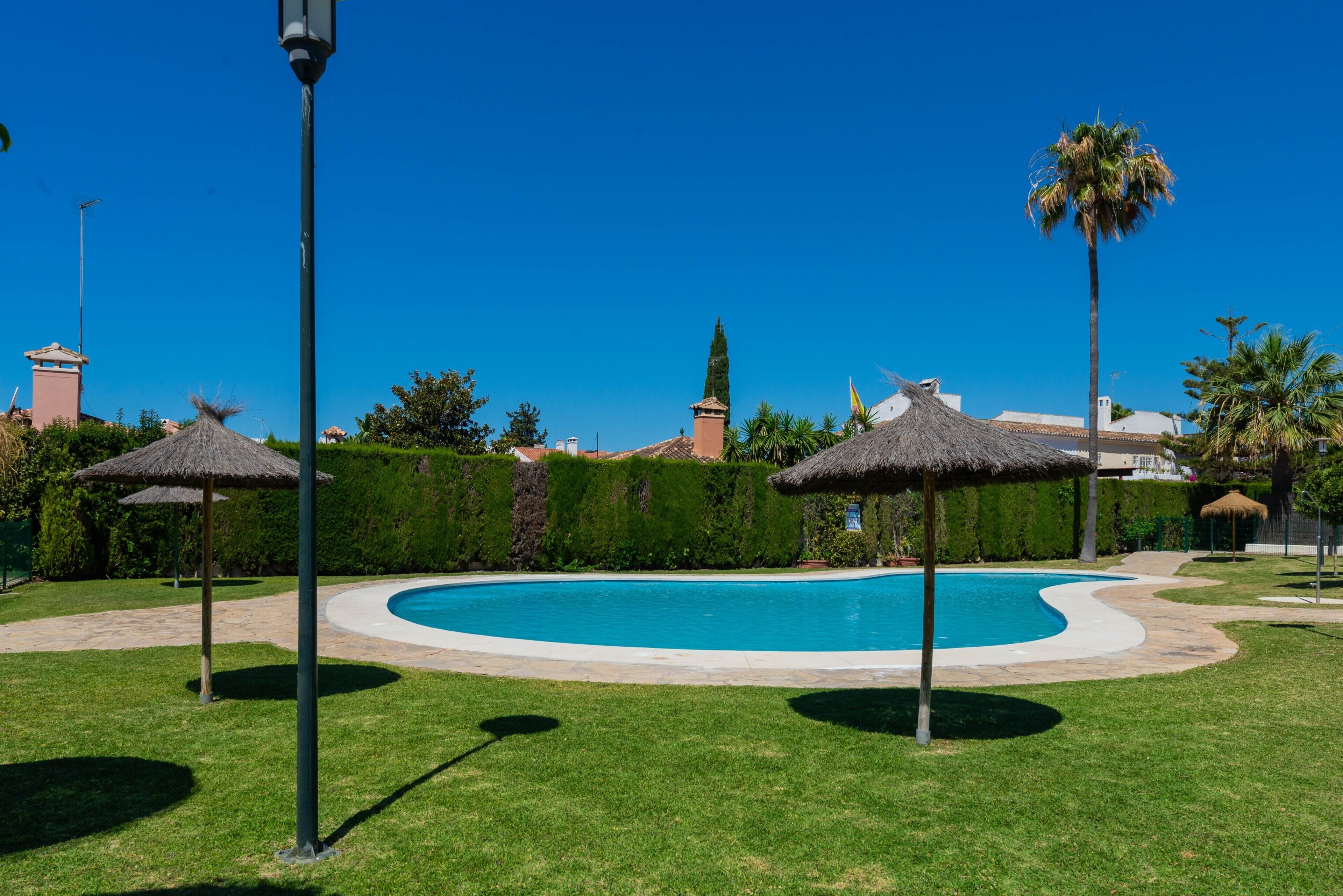 A swimming pool with a curved edge, surrounded by well-maintained grass and palm trees.