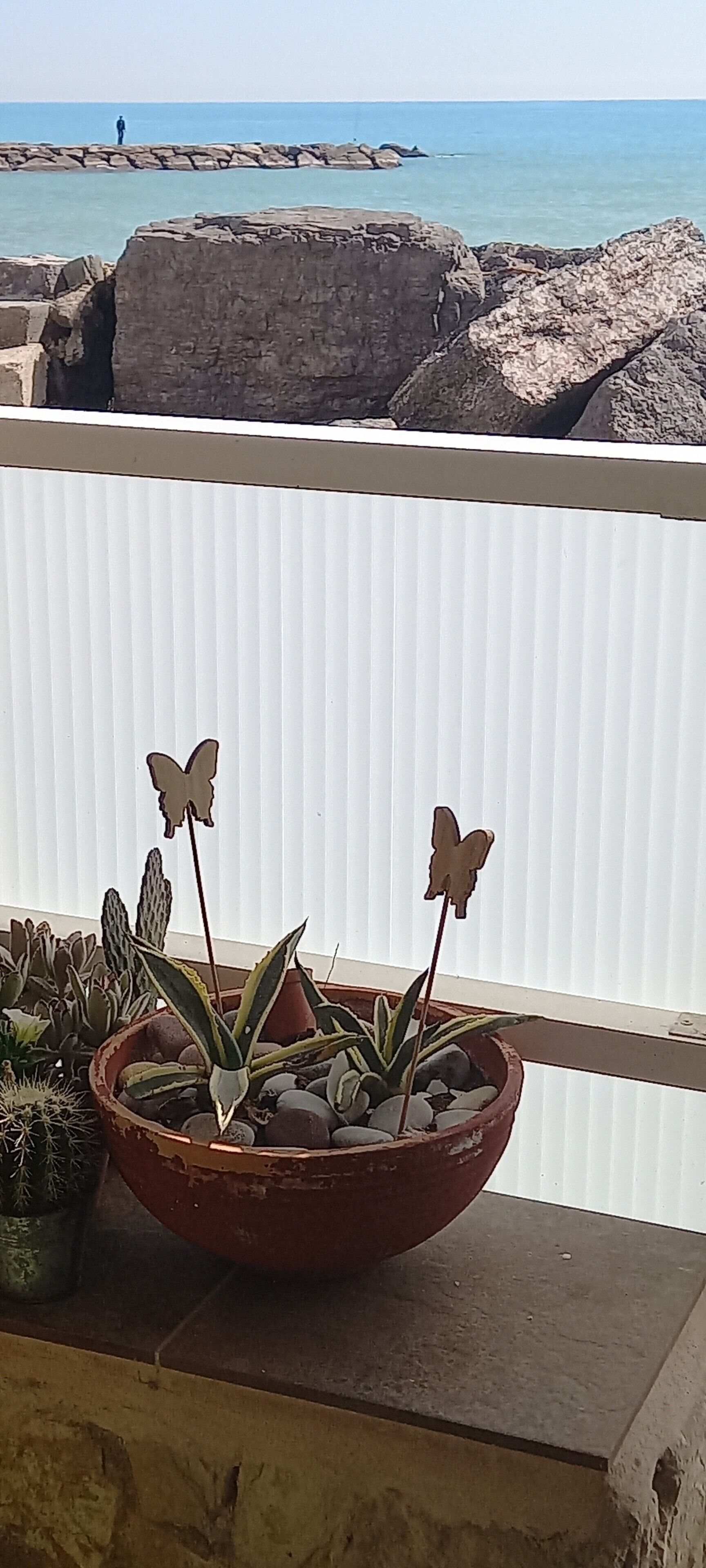 Un balcon avec une plante en pot et une vue sur la mer.
