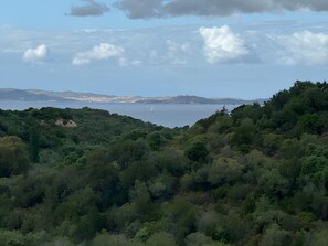 A coastal landscape with dense greenery and a view of the sea. - Apartment 'Appartamento Sea View' with Shared Pool, Private Terrace and Air Conditioning (Arzachena)