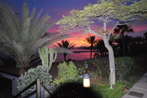 Cena noturna ao ar livre com vista para o pôr do sol, um cacto e um poste de luz.