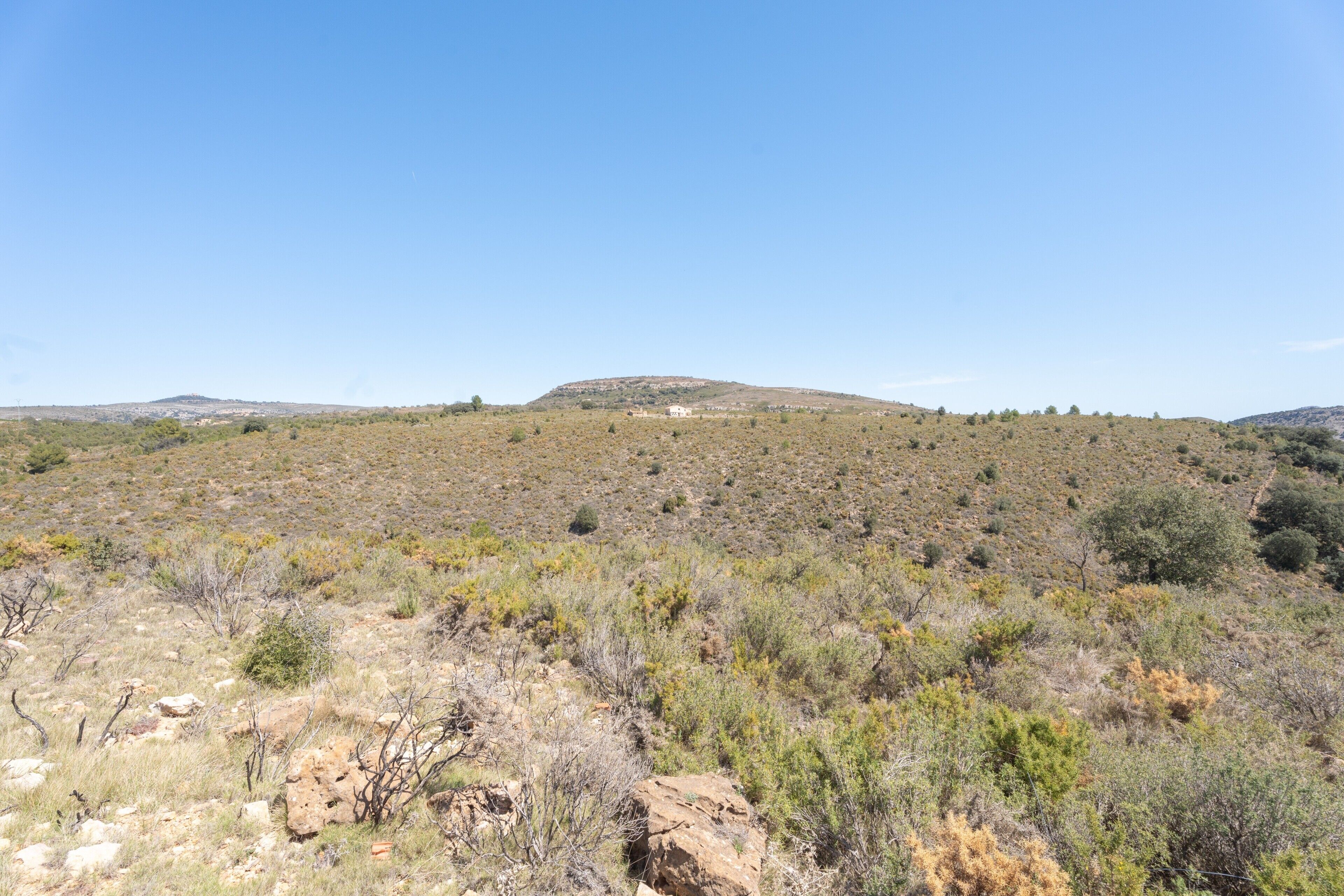 Un paysage aride et vallonné, avec une végétation clairsemée et une colline qui se dessine à l’horizon.