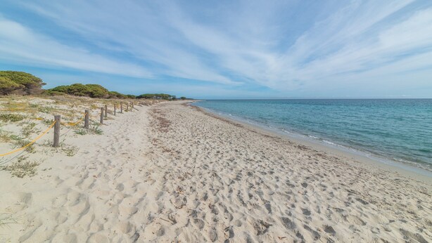 Una playa arenosa con una valla de madera, agua tranquila y cielo despejado.