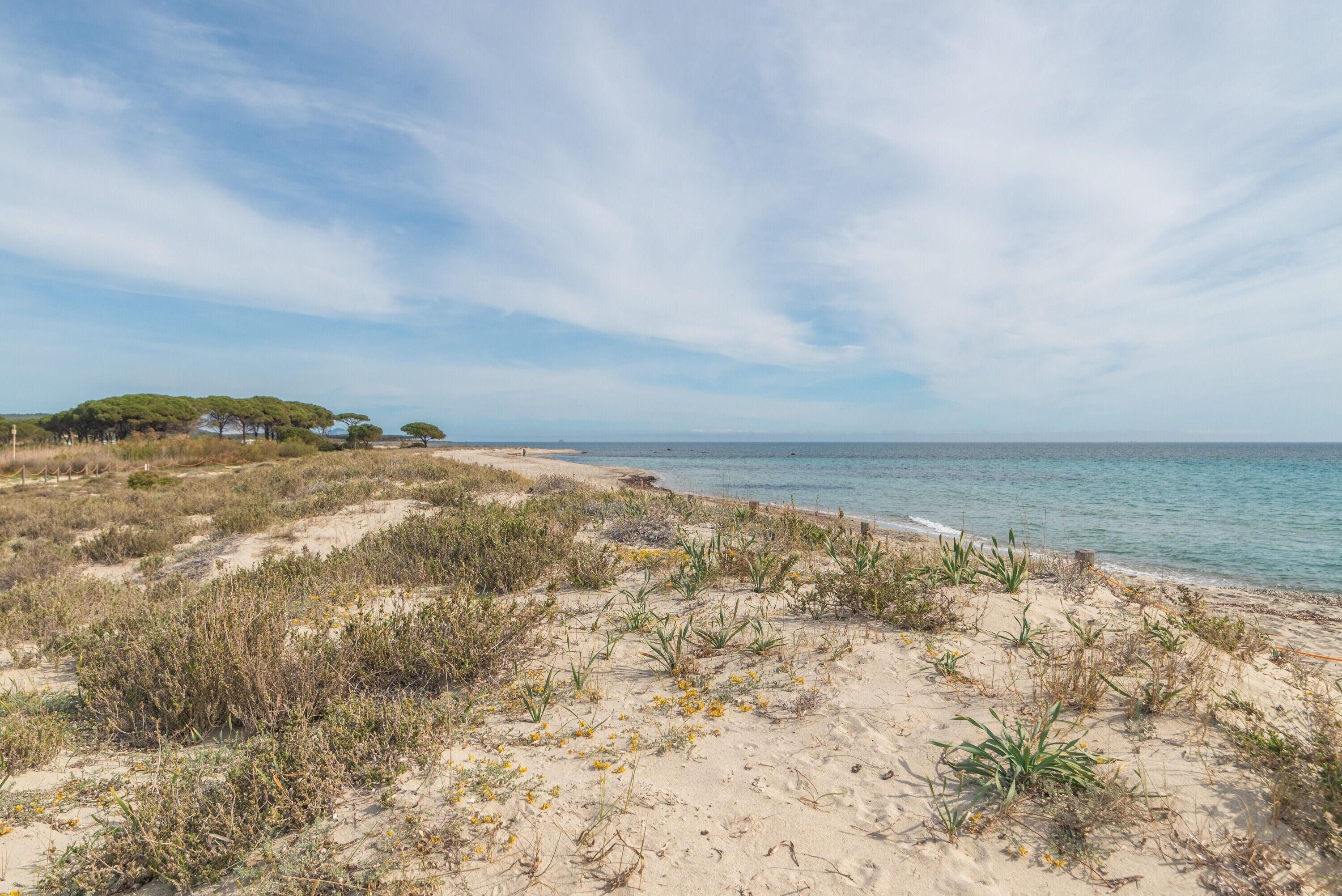 Vlak bij het strand