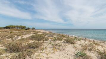 Playa en los alrededores