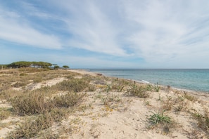 Tæt på stranden