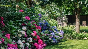 Un jardin agrémenté de différents buissons d’hortensias, d’une clôture en bois et d’une chaise en métal.