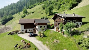 Un chalet in montagna con una strada sterrata, un'auto e delle mucche.