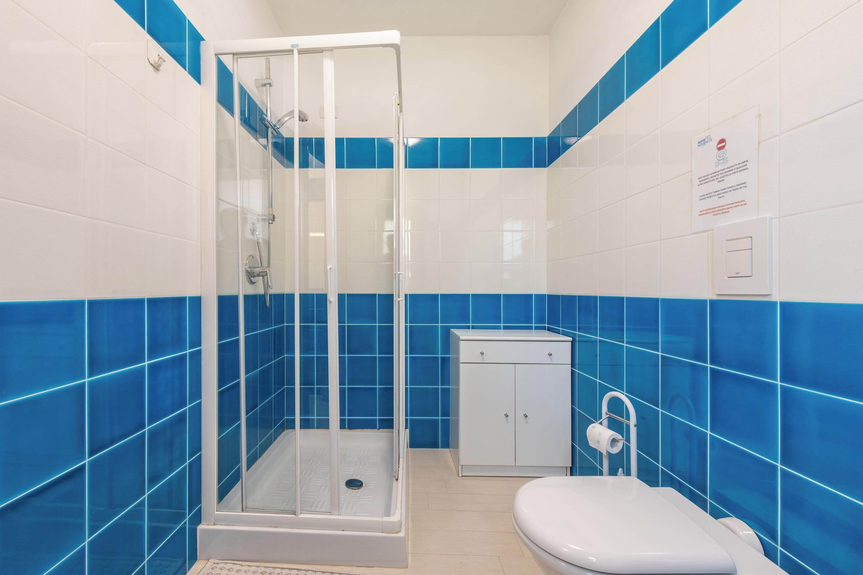 Chuveiro, secador de cabelo, toalhas de banho 