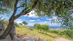 A stone pathway leading to a coastal landscape with olive trees and a view of the sea.