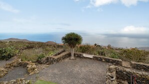 Un mur de pierre avec un banc, un arbre et une vue sur l’océan.