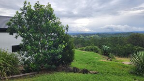 A lush green landscape with a large tree in the foreground, a grassy area, and a view of distant hills under a cloudy sky. - Private Studio Byron Hinterland (Fernleigh)