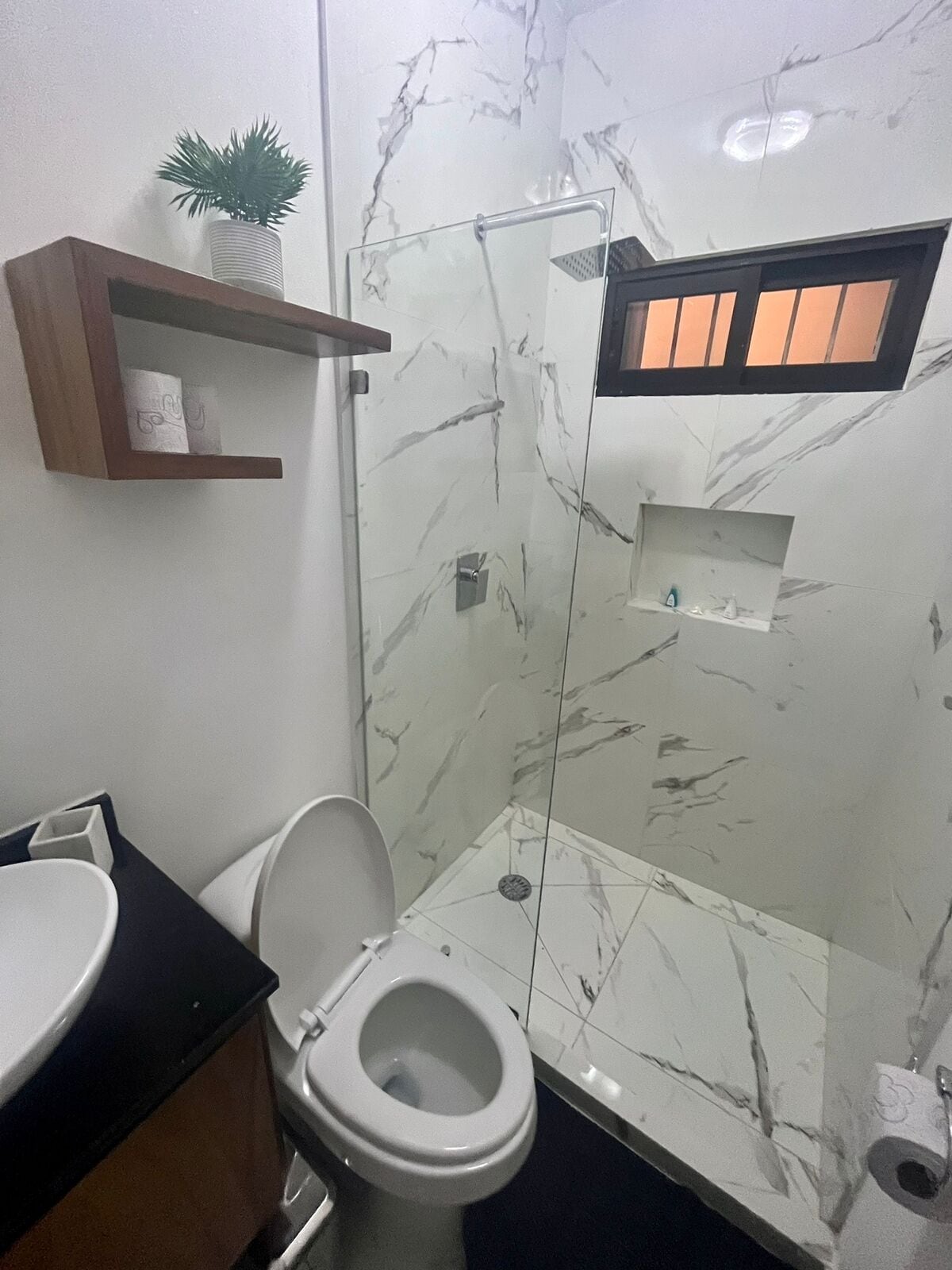 Een badkamer met toilet, wastafel, douche en een klein plankje met een plantje.