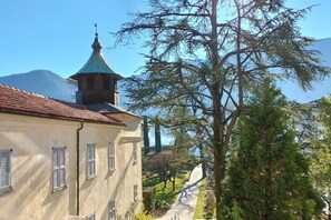 Ein Gebäude mit grüner Dachbegrünung, ein Turm mit spitzem Dach und ein Baum im Vordergrund.