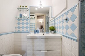 Shower, hair dryer, bidet, towels