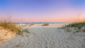 A sandy beach with sparse vegetation and a clear sky.