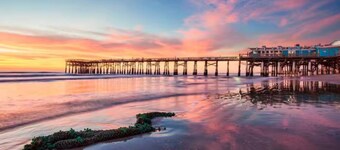 🏖️Beachside Oasis: Surf, swim, enjoy! 600 feet to ocean, salt-water pool.