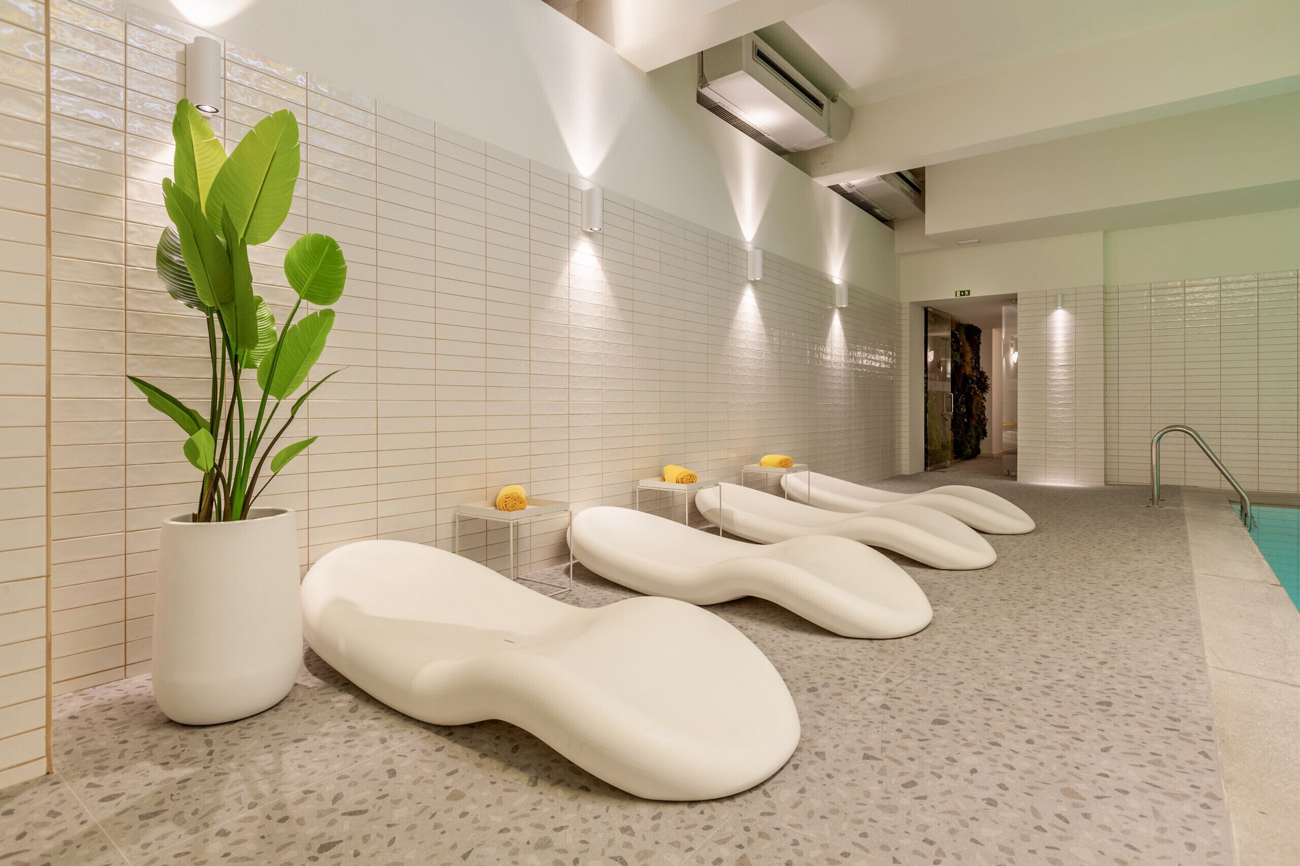 Wellness