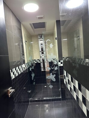 Camera familiare | Bagno | Doccia, soffione a pioggia, asciugacapelli, accappatoio