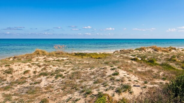 Een strand met heldere luchten en rustig water.