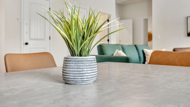A dining table with a patterned pot of green foliage in the center. - 2BR Greer Condo: Pet-Friendly, King Beds, Fire Pit (Greer)