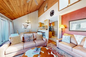 电视、壁炉、DVD 播放器