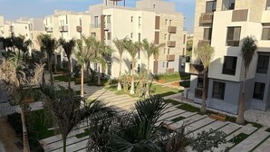 A modern residential complex with multiple buildings, palm trees, and a well-maintained courtyard with pathways and seating areas. - ALSAWAH 3 Bedroom Apartment at Allegria Sodic Sheikh Zayed (Sheikh Zayed City)