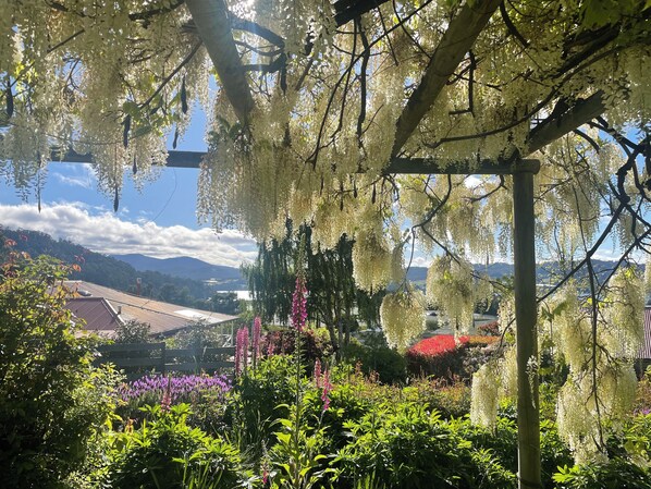 Property grounds - Gorgeous cottage in the heart of the picturesque Huon Valley. (Castle Forbes Bay)