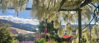 Gorgeous cottage in the heart of the picturesque Huon Valley.