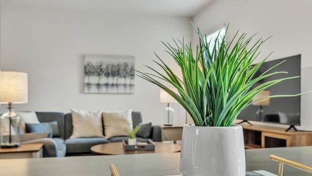 A modern living room with a white potted plant, a grey sofa, a coffee table, and a painting on the wall. - Pet-Friendly 2BR Greer Home, King Beds & Fire Pit (Greer)