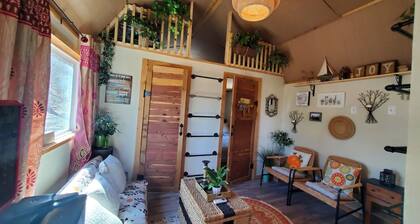 Cozy tiny cabin nested in the trees in a lake community, peaceful countryside.