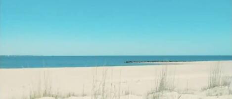 بالقرب من الشاطئ