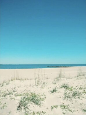 Plage à proximité